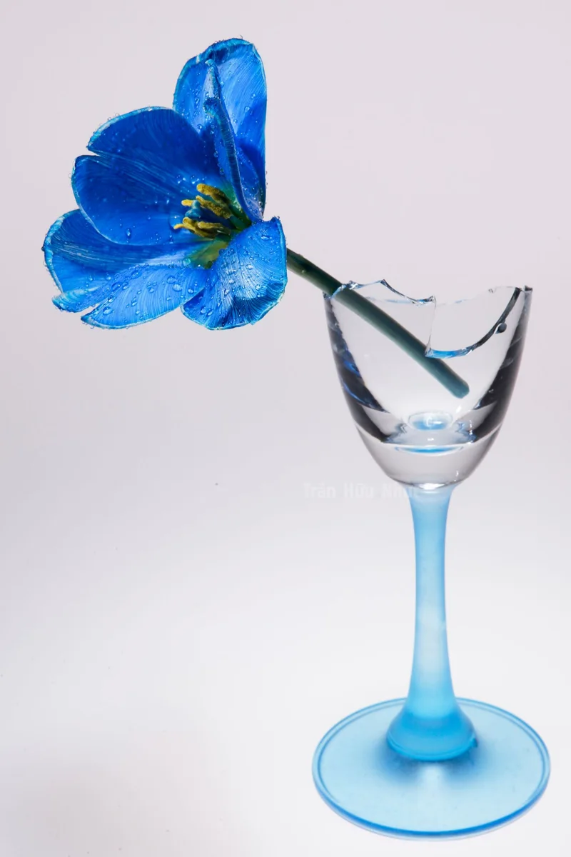 Blue flower in a broken glass vase.