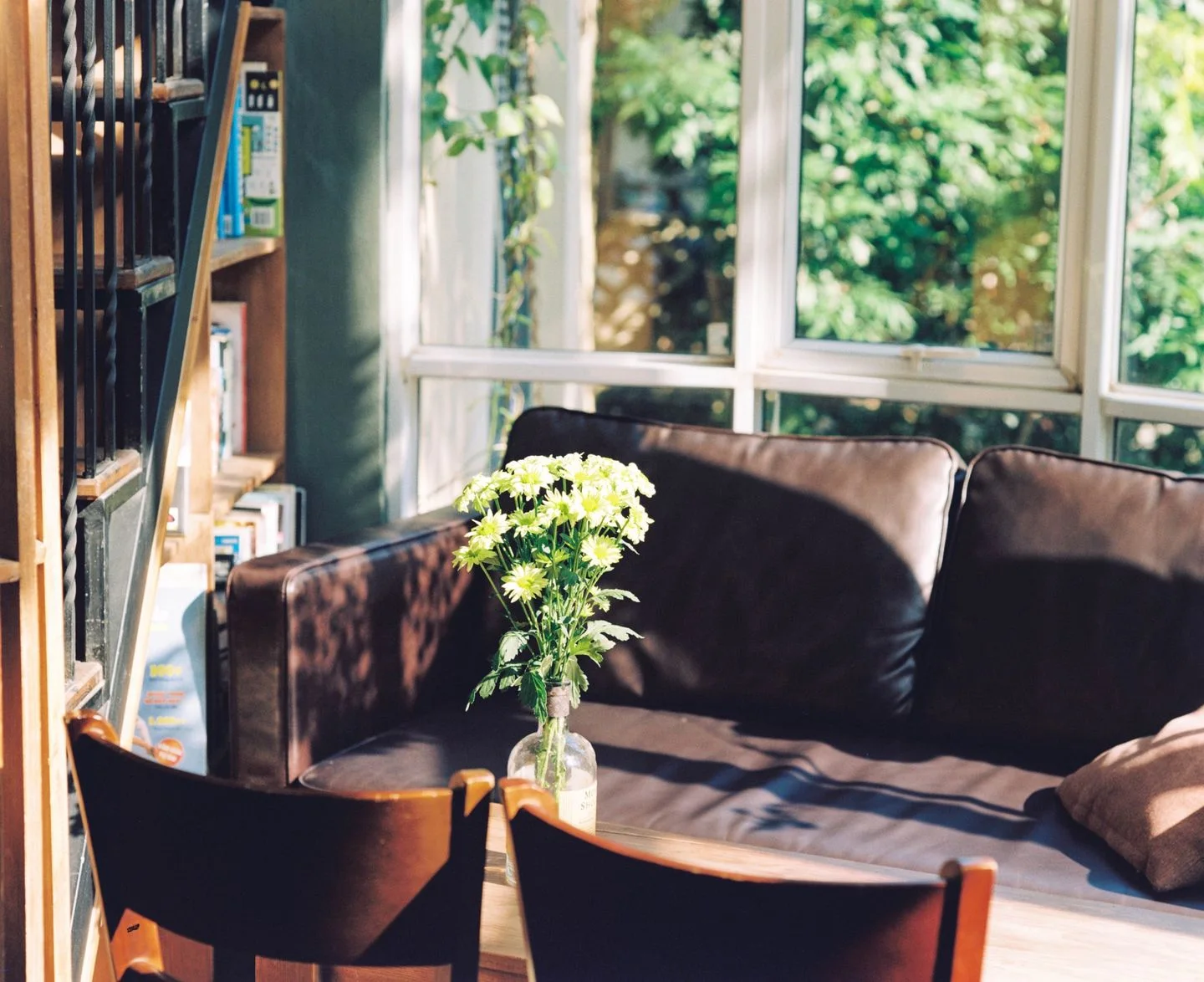Brown leather sofa beside a window.