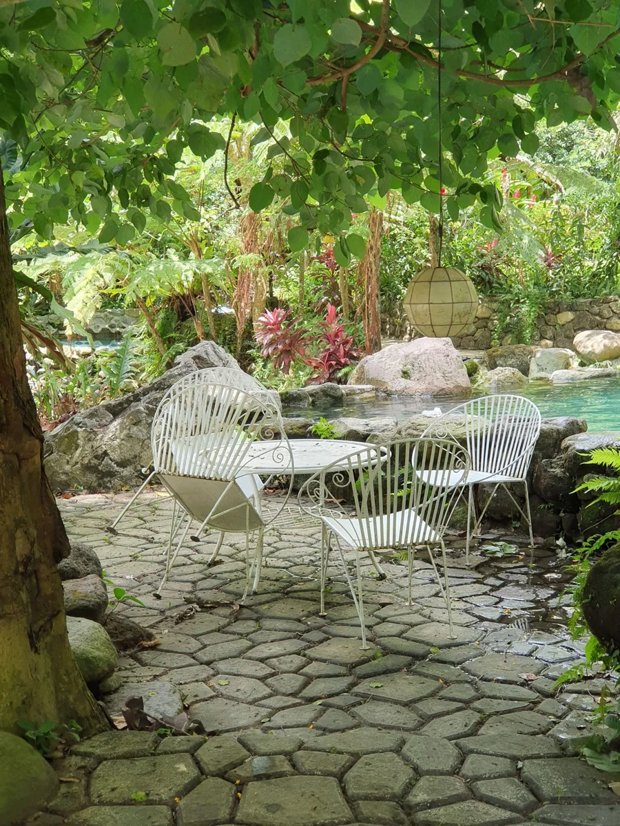 A table and chairs in a garden